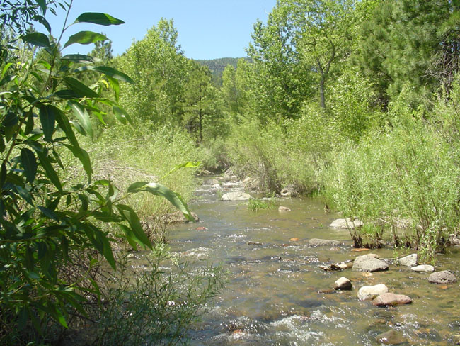DSC02195