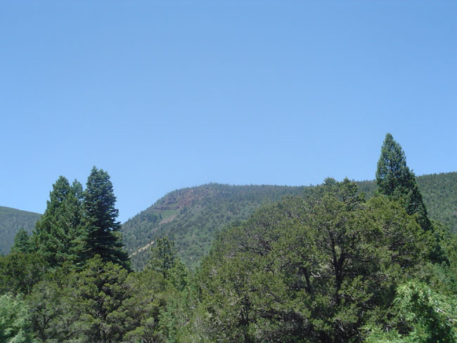 DSC02198