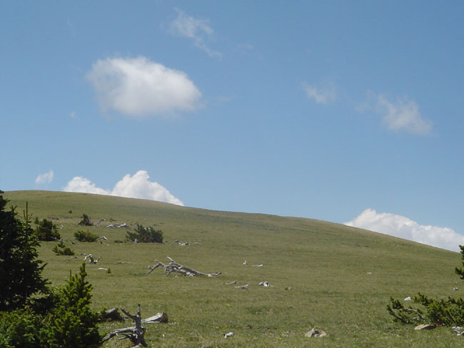 DSC02293