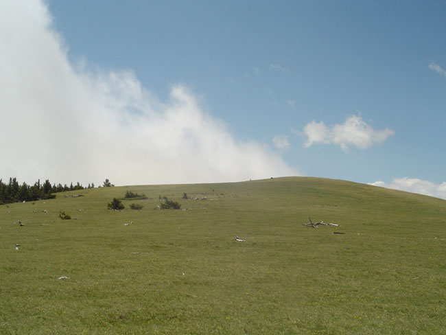 DSC02302