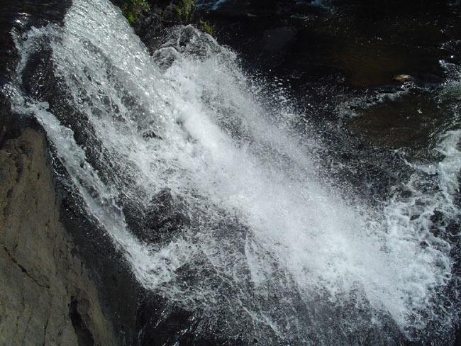 DSC01918