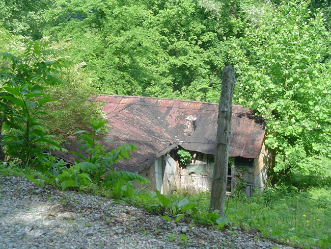 DSC01949