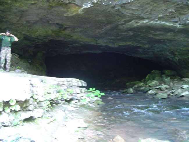 DSC01963