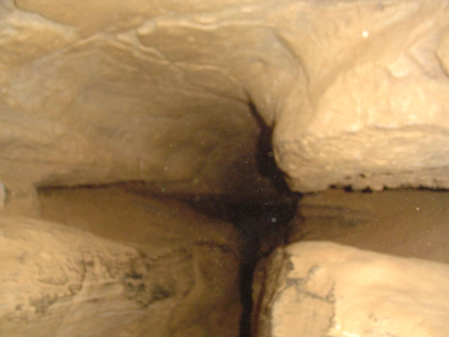DSC01998