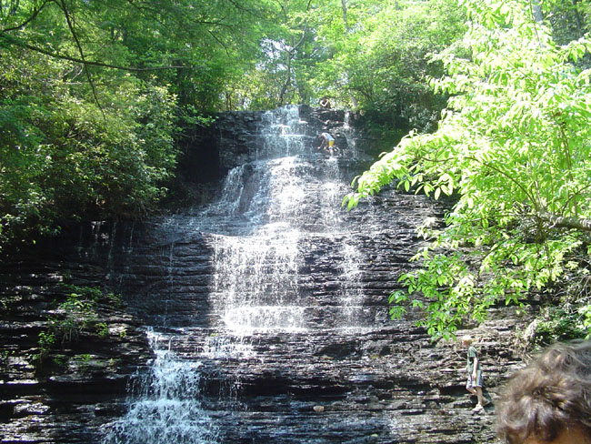 DSC02041