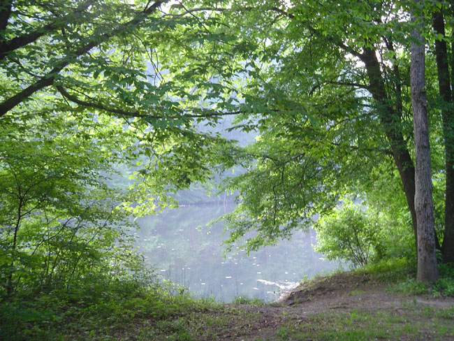DSC02060