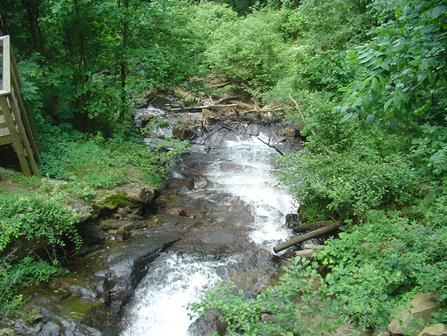 DSC02076