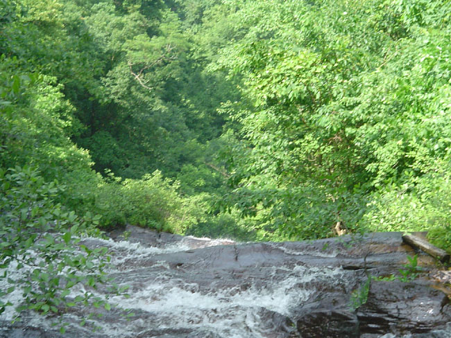 DSC02079