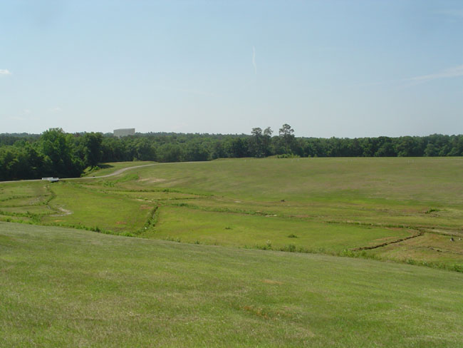 DSC02118